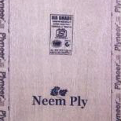 Plyneer